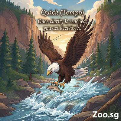 Eagle (IRSGQ) Guide to Self-Improvement